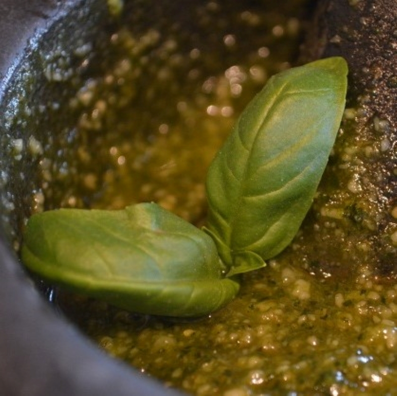 basi pesto